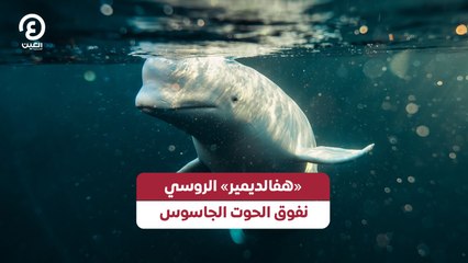 "هفالديمير" الروسي نفوق الحوت الجاسوس