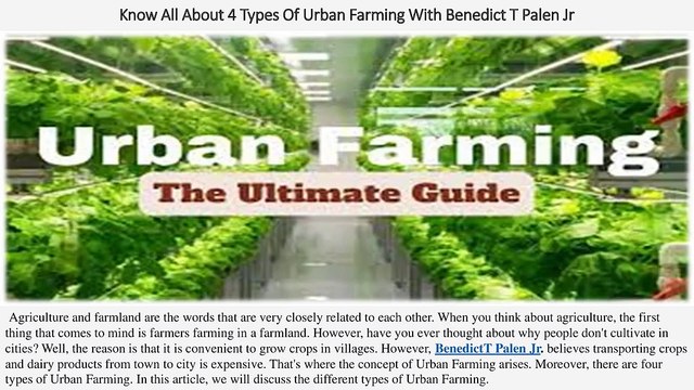 Know All About 4 Types Of Urban Farming With Benedict T Palen Jr