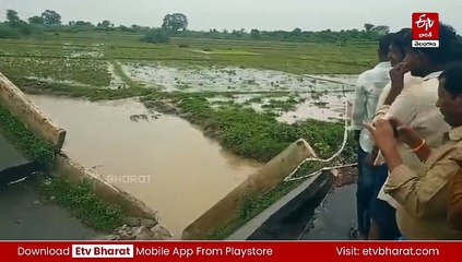 భారీ వర్షాలకు కూలిపోయిన బ్రిడ్జిలు - నిలిచిన రాకపోకలు