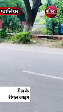 रील के चक्कर में रीयल लाइफ से खिलवाड़, चलती कार युवकों ने की स्टंटबाजी