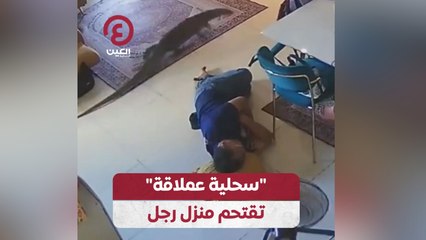 "سحلية عملاقة" تقتحم منزل رجل