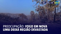 Queimadas em Nova Lima: veja os estragos