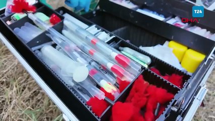 Bursa'da 2 kızıl geyik doğaya salındı; 1,5 saat süren operasyon kamerada