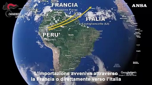 Livorno, traffico di mescalina e kratom: misure cautelari per 15 indagati