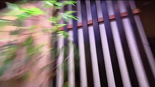 This Health Hazard SHOCKS Gordon! | Kitchen Nightmares | Gordon Ramsay