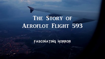 The Story of Aeroflot Flight 593 | A Short Documentary | Fascinating Horror