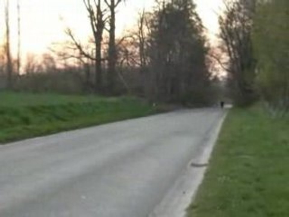 Pointe Rag