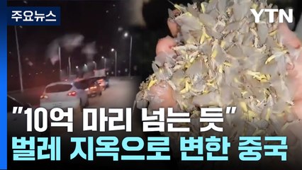 한여름에 폭설 내린 듯...하루살이 '10억 마리' 습격 / YTN