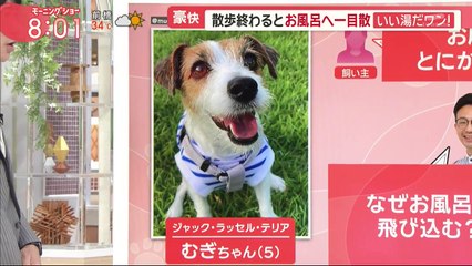 羽鳥慎一モーニングショー  2024年9月2日