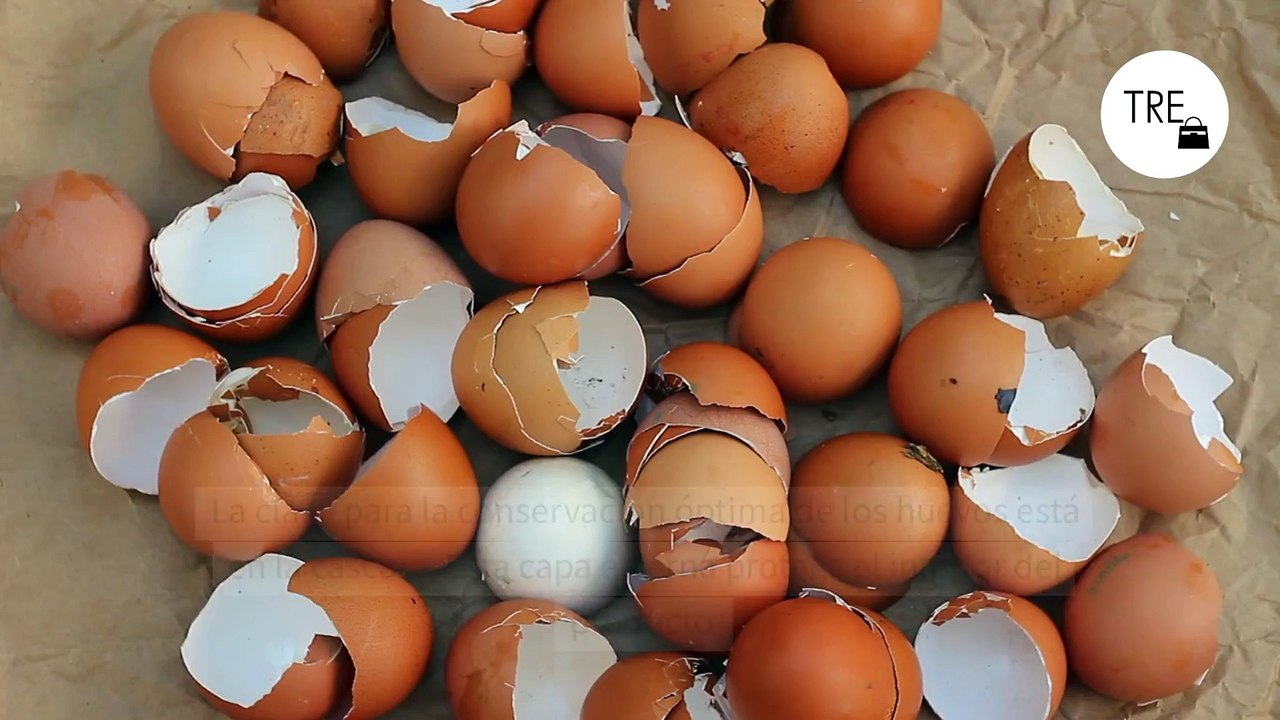 Guardar los huevos dentro o fuera de la nevera: resolvemos la eterna duda para que los conserves mejor