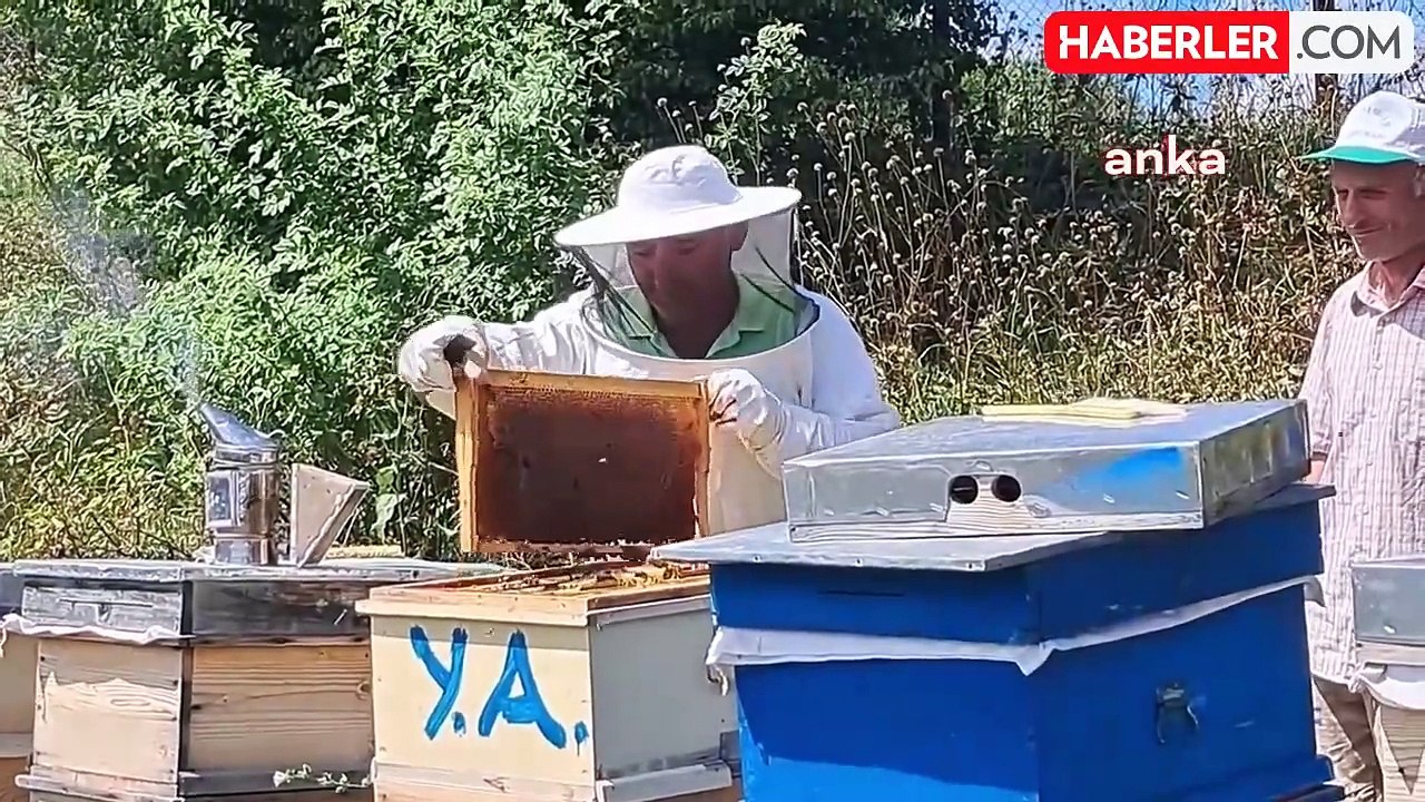 Çavdarlı Köyünde Doğal Bal Üretimi ve Arıcılık Projesi