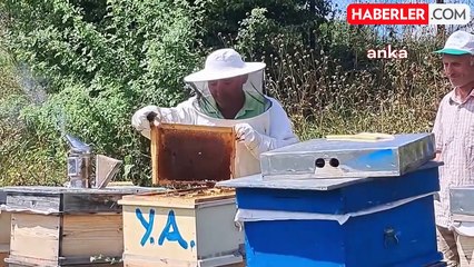 Çavdarlı Köyünde Doğal Bal Üretimi ve Arıcılık Projesi