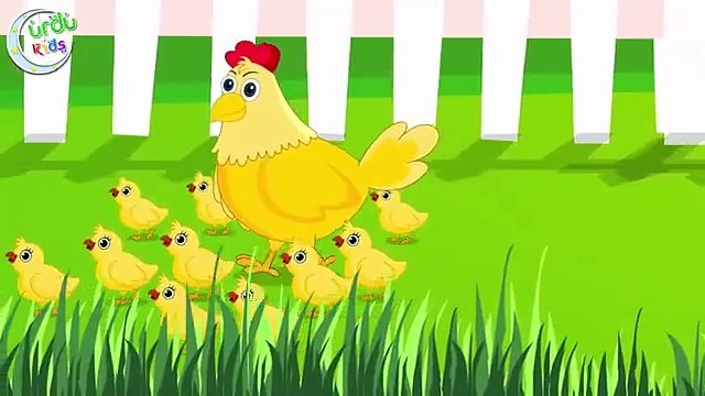 Kut Kut Karti Ai Murgi