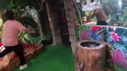 Ce qu'elle retire de la gueule de ce pelican est incroyable... un pigeon