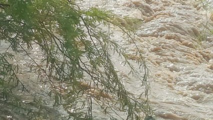 जयपुर में बरसात का कहर...