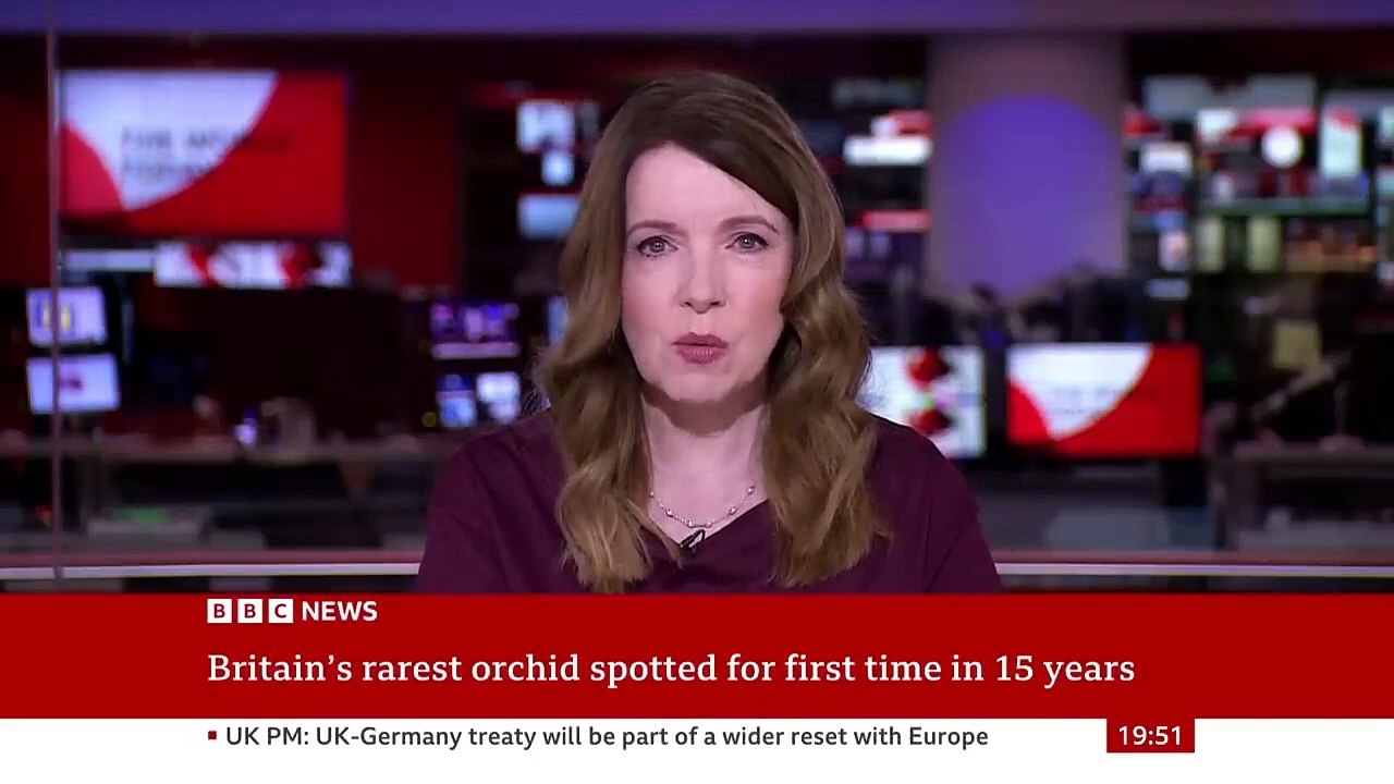 Britain’s rarest ghost orchid rediscovered for first time in 15 years - BBC News