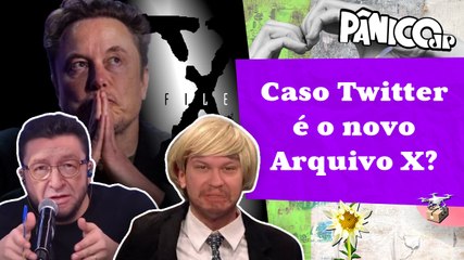 ELON MUSK VAI PRECISAR DO ADVOGADO PALOMA (MORGADO) CONTRA XINGAMENTOS DE OLAVITO (ALBA)?