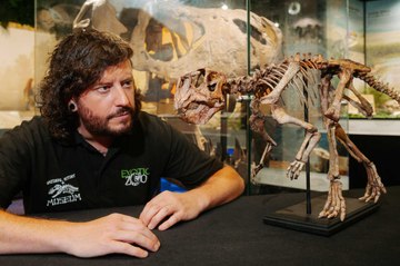 Dinosaur Skeleton on Show This Weekend at Exotic Zoo Telford!