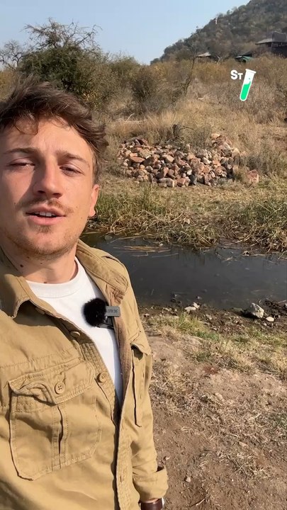 Filmer les animaux sans qu’ils le sachent permet d’observer des comportements rares et 100% naturels. Dans la réserve de Balule à @mopayasafarislodge, le photographe et réalisateur @mathieucourdesses a mené l’expérience !