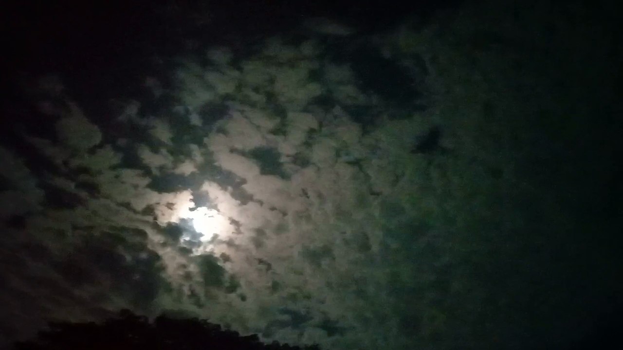 Full moon night| Romantic What's Aap Status #moon #night #moonlight