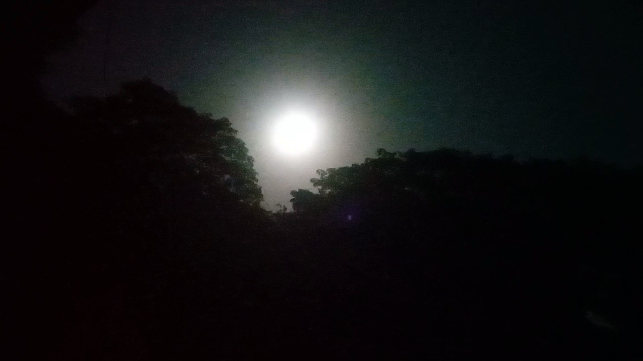 Full moon night Romantic What's Aap Status #romantic #night