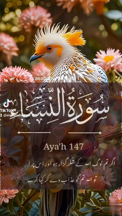 Quran arabi Tilawat