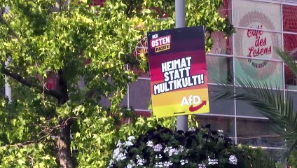 People split over German AfD party's electoral success