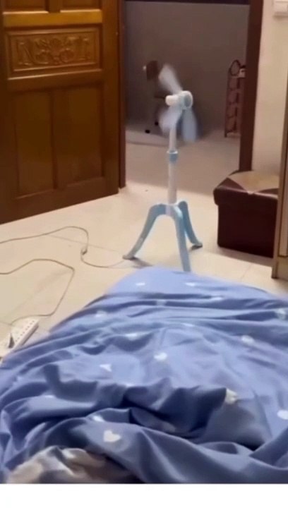 وين رايحة ههههه