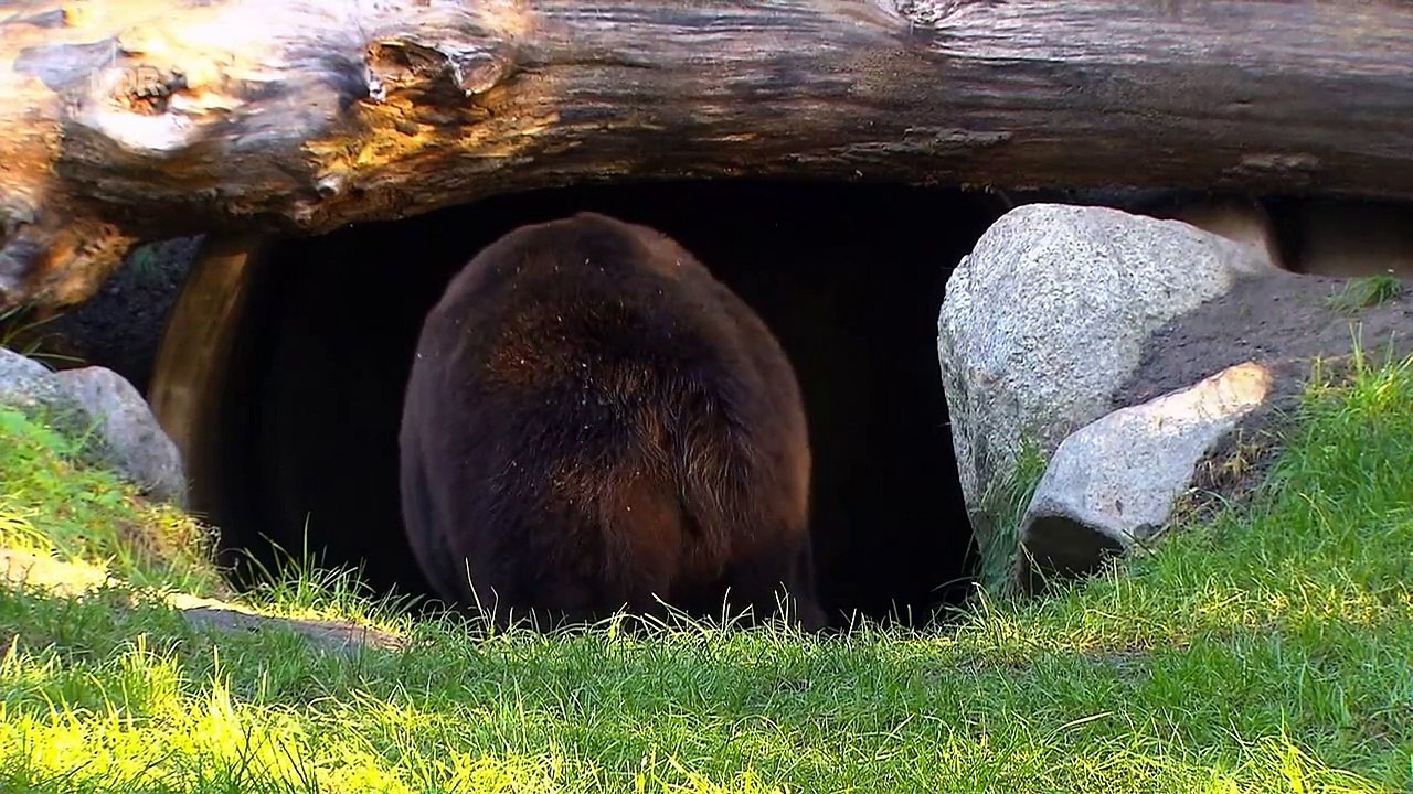 7199 Krissy Rieger Krall