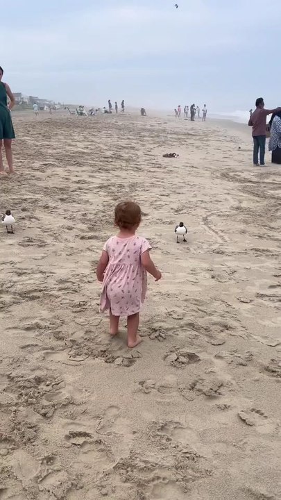 "They Had Her Surrounded She Did Not Stand a Chance Follow For More Videos Have Trendingreels"....!!