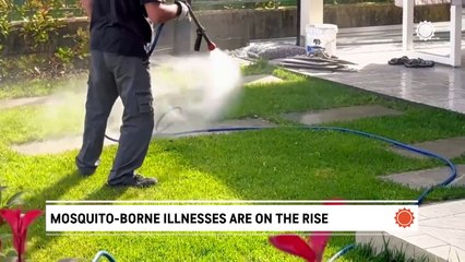 How to protect yourself from mosquito-borne illnesses