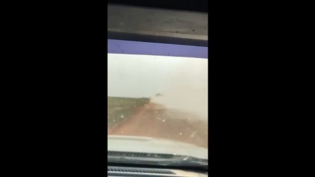 PRF e PM apreendem mais de uma tonelada de maconha e 20 quilos de haxixe