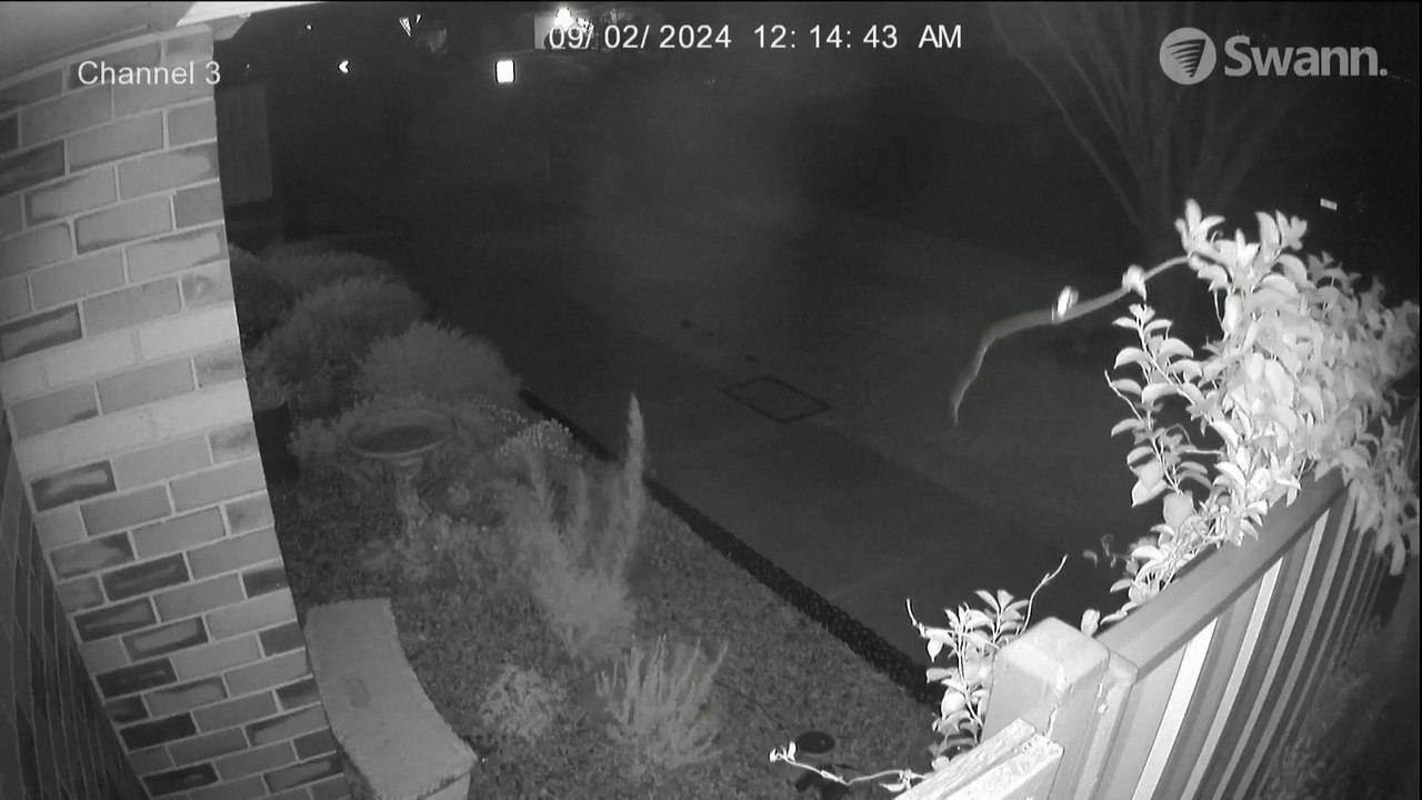 طقس العالم | الفيضانات تغمر الشوارع في جنوب الهند وعواصف عاتية تضرب جنوب شرق أستراليا