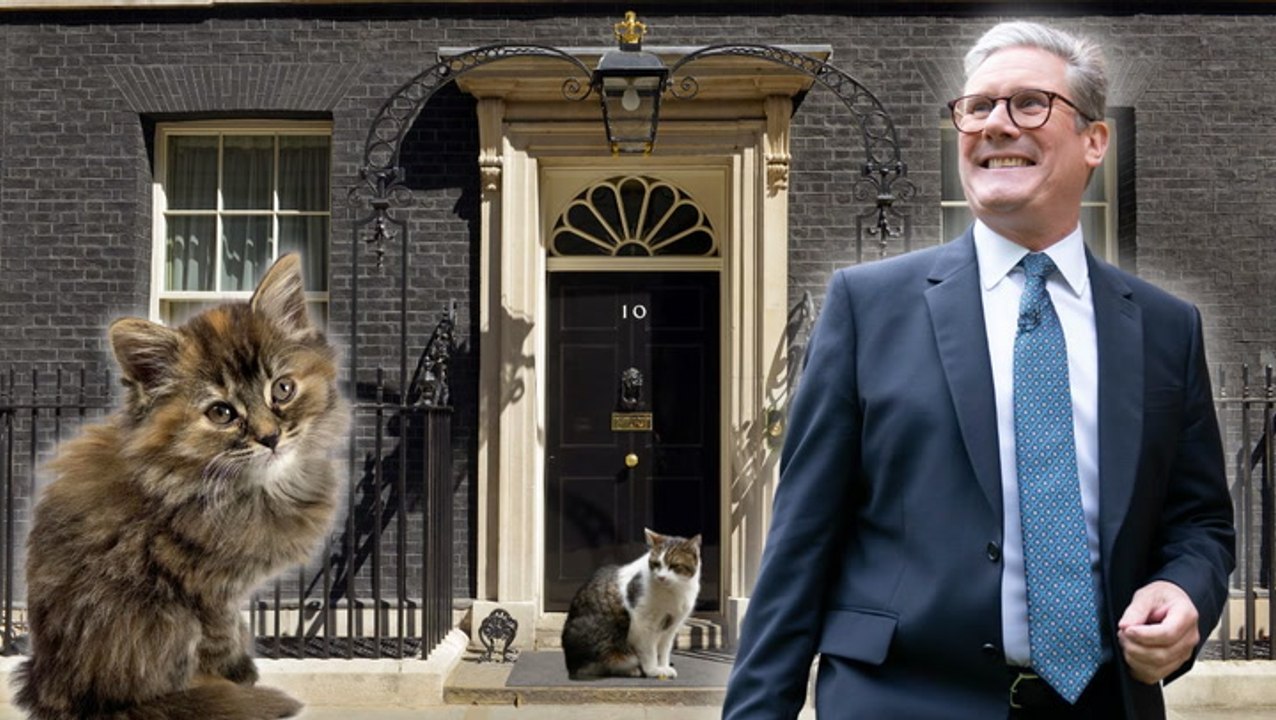 Keir Starmer moves Siberian kitten into Downing Street after children ask for German Shepherd