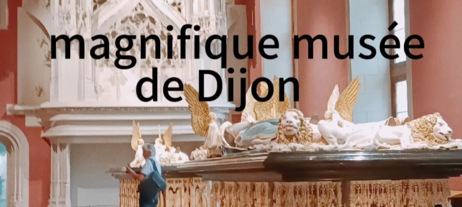 @Dijontourisme, le très magnifique musée Palais des ducs et des États de Bourgogne