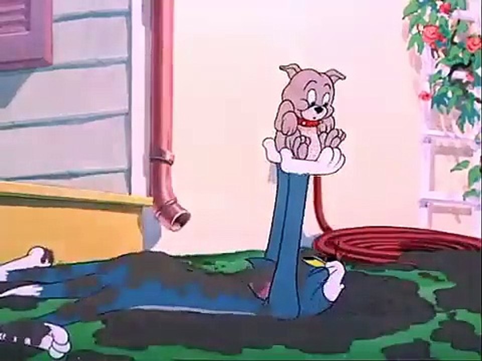 Tom and Jerry - Slicked-up Pup