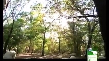 Crikey - What an Adventure! (2007)