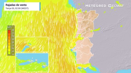 Previsão de terça-feira muito ventosa deixa 2 distritos de Portugal continental em aviso amarelo