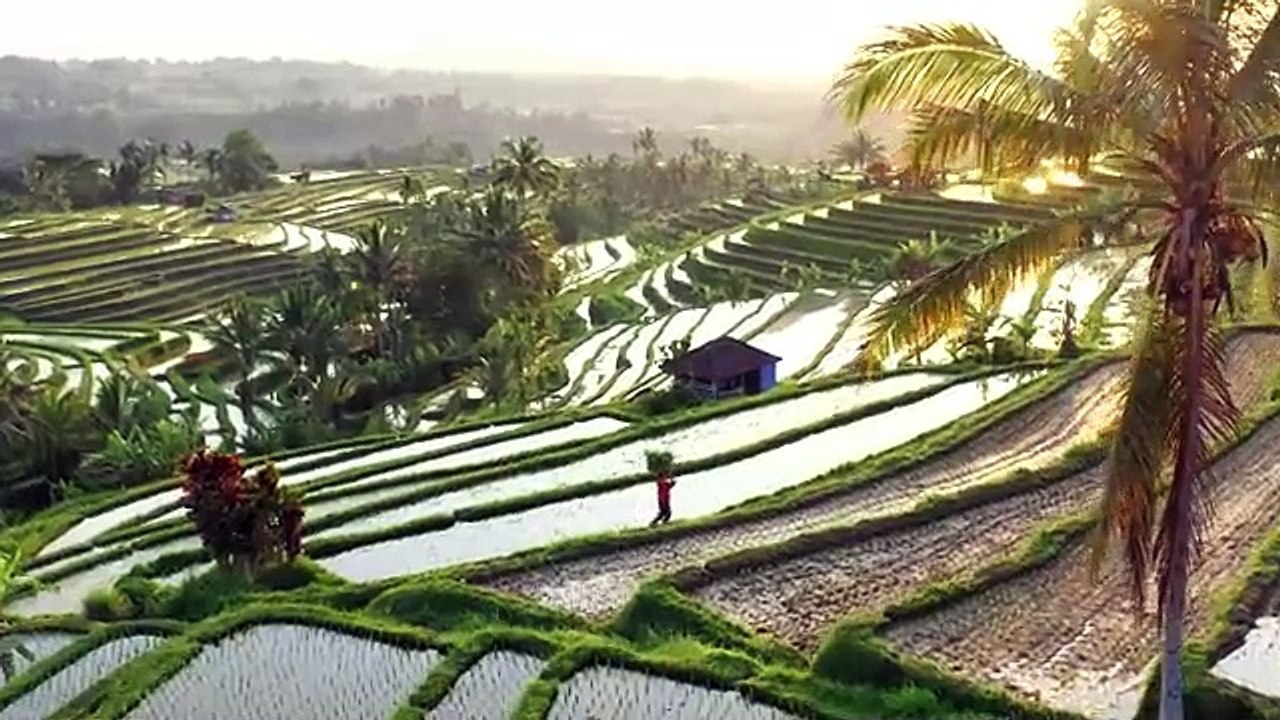 Bali in 8k ULTRA HD HDR - Paradise of Asia