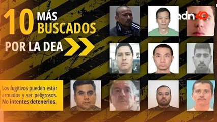 8 de los 10 más buscados en EE.UU. pertenecen al Cártel de Sinaloa