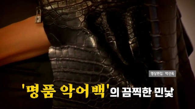 [영상] 수천만 원 명품 악어백, 이렇게 만들어 졌다니... / YTN
