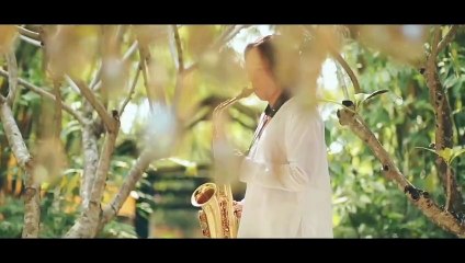 Đường tình gió cuốn - Thúy Loan cover