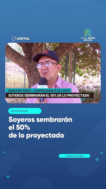 Soyeros sembrarán el 50% de lo proyectado