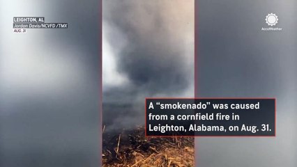 Smokenado strikes: firefighters and rain save Leighton cornfield blaze