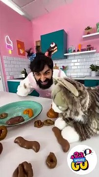 La vie secrète des chats domestiques