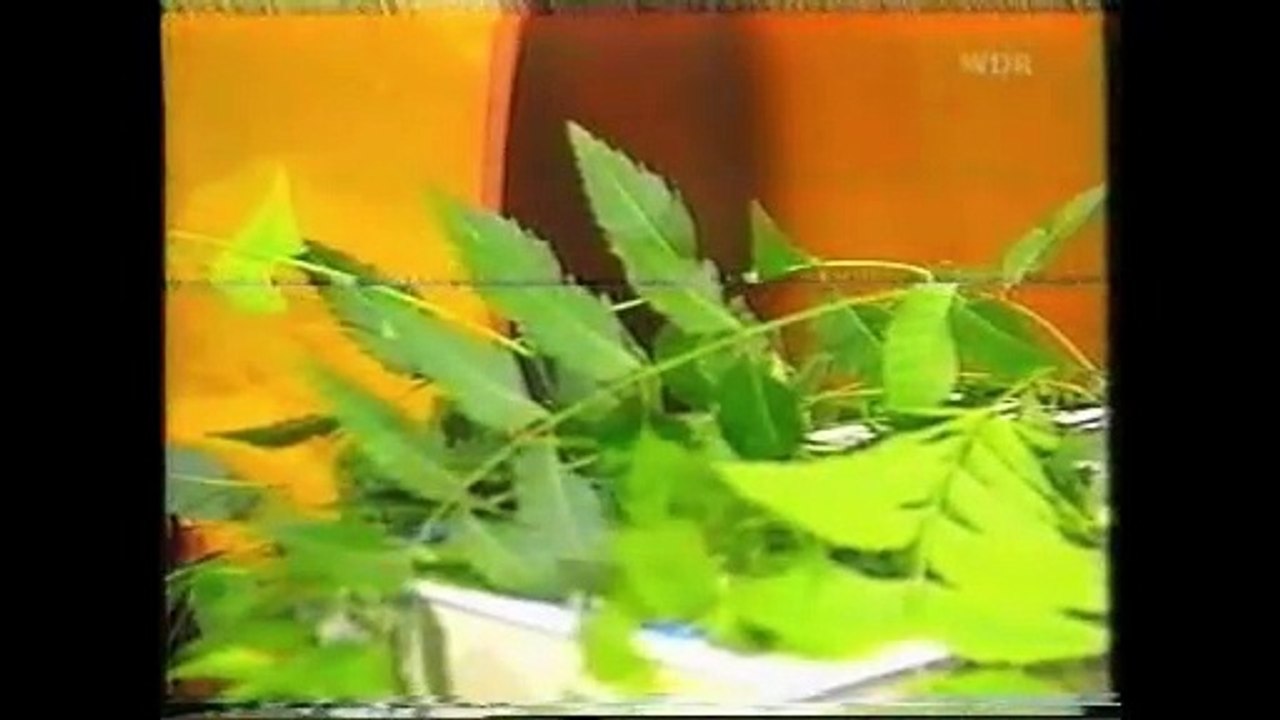 7200  Franziska Rubin