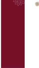 Best Massage Chicago IL: Experience True Relaxation