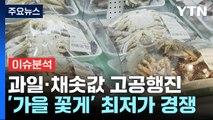 [뉴스퀘어10] 추석 코앞인데 과일·채솟값 고공행진 / YTN