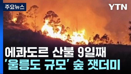 에콰도르 산불 9일째 확산...이웃국가들 비상 / YTN
