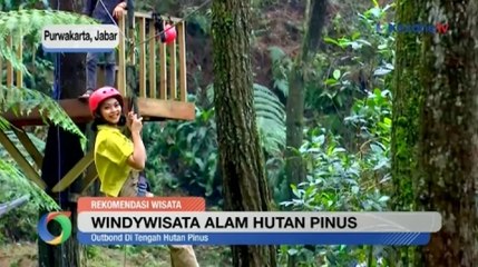 Jelajahi Keindahan Hutan Pinus di Purwakarta